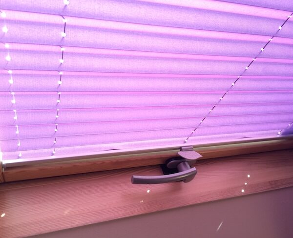 Alicja - Intirol zdjęcie nr 2