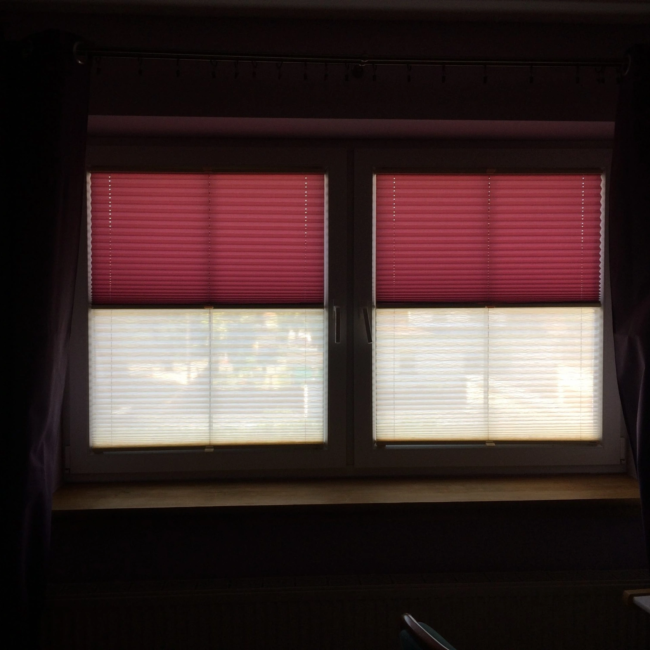 Plisa Podwójna - Intirol zdjęcie nr 5